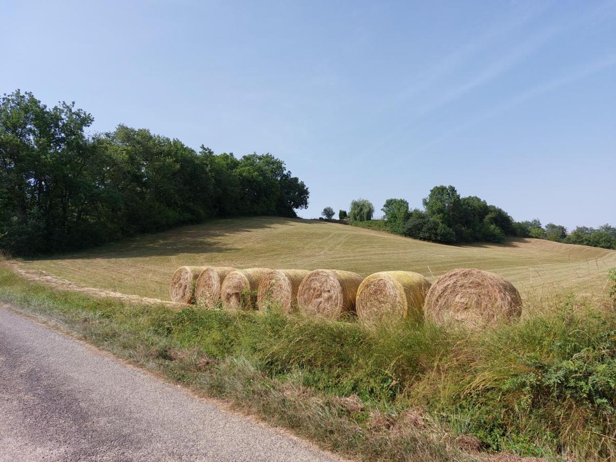 Gite Les Grands Chênes Monties Exterior foto